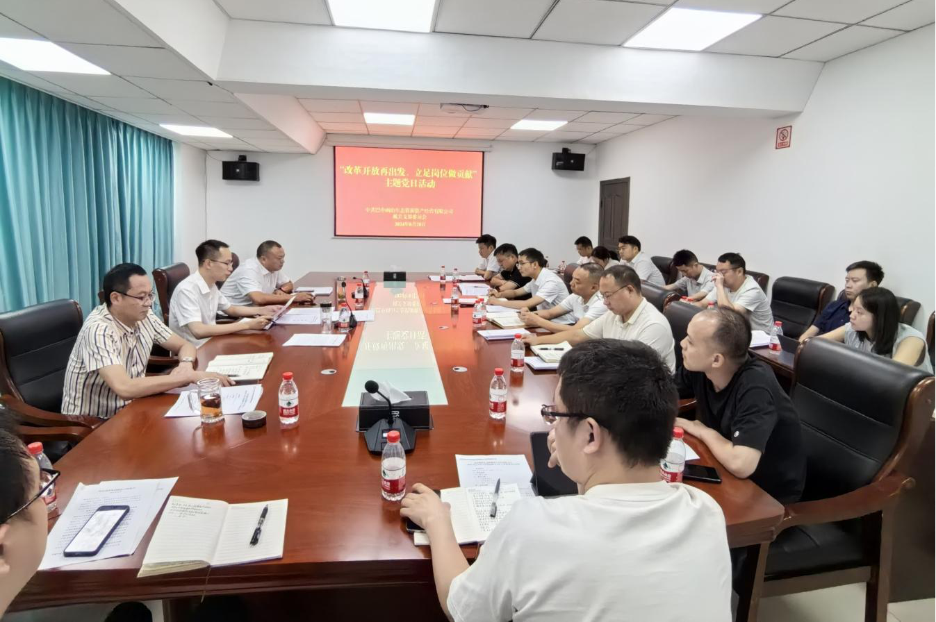巴中兩山公司開展“改革開放再出發(fā)、立足崗位做貢獻(xiàn)”主題黨日活動